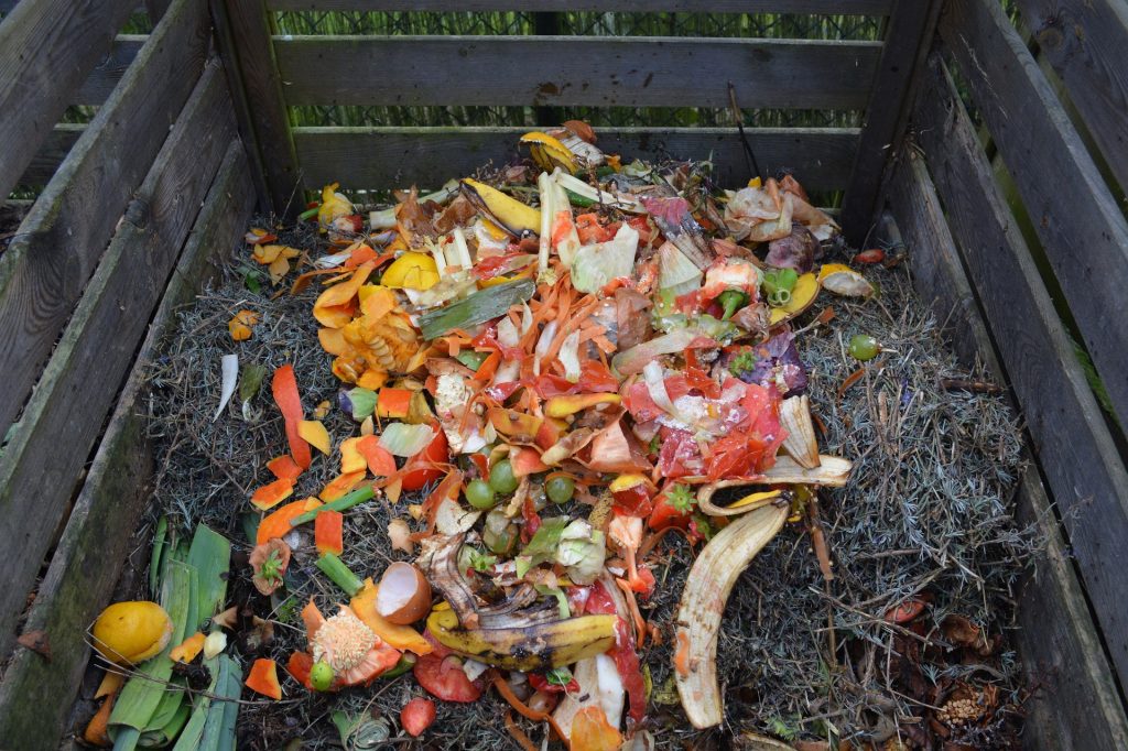 Sustainable practices at home, composting 